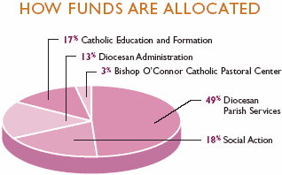 chart showing how Diocesan Services Appeal funds are allocated
