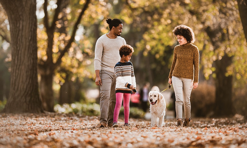 Ask Father Mike - October 2025