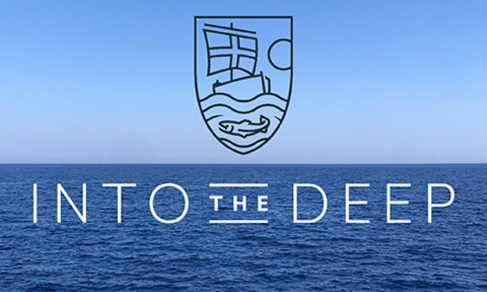 The Progress of Go Make Disciples and Into the Deep