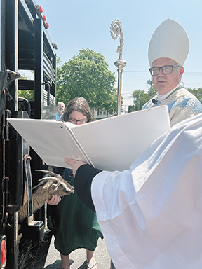 Bishop Donald J. Hying blesses a goat as representative of all farm animals in the Diocese of Madison at the Rural Life Mass in Darlington